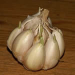 ajo planta curativa ancestral