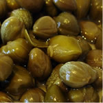 alcaparra, plantas medicinales
