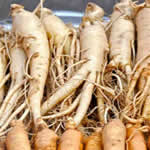 Ginseng, planta medicinal fotos