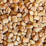 Fenogreco, fotos de plantas medicinales
