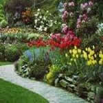 Jardines