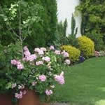 Jardines