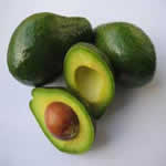Aguacate plantas medicinales