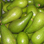 Aguacate plantas medicinales