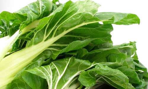 acelga planta curativa