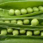 guisante planta medicinal