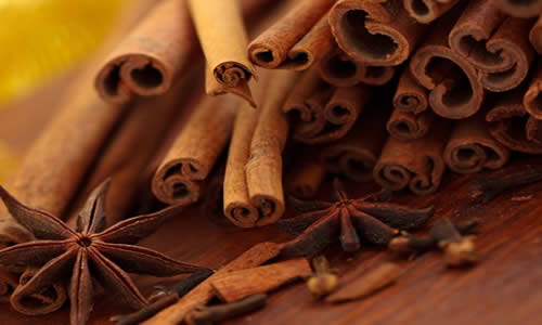 canela planta medicinal