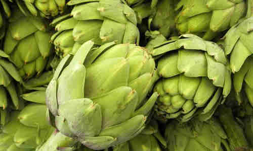 foto planta Alcachofa