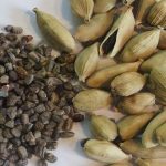 fotos semillas Cardamomo